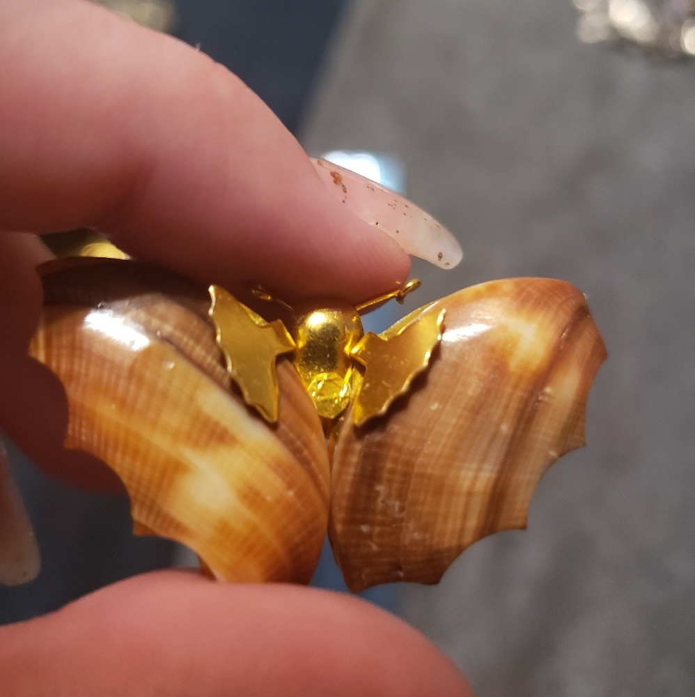 Shell butterfly broach